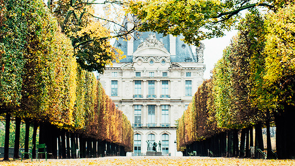 15 unexpected places to propose in paris martha stewart rustic rehearsal dinner invitations
