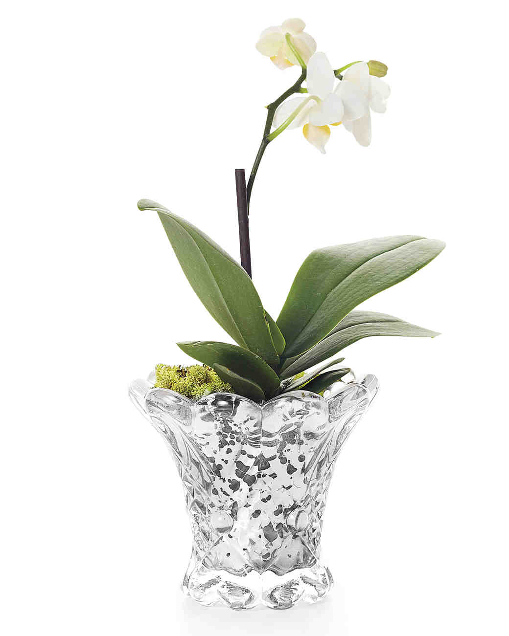 The Best Wedding Anniversary Gifts by Year to Give to Your Beloved