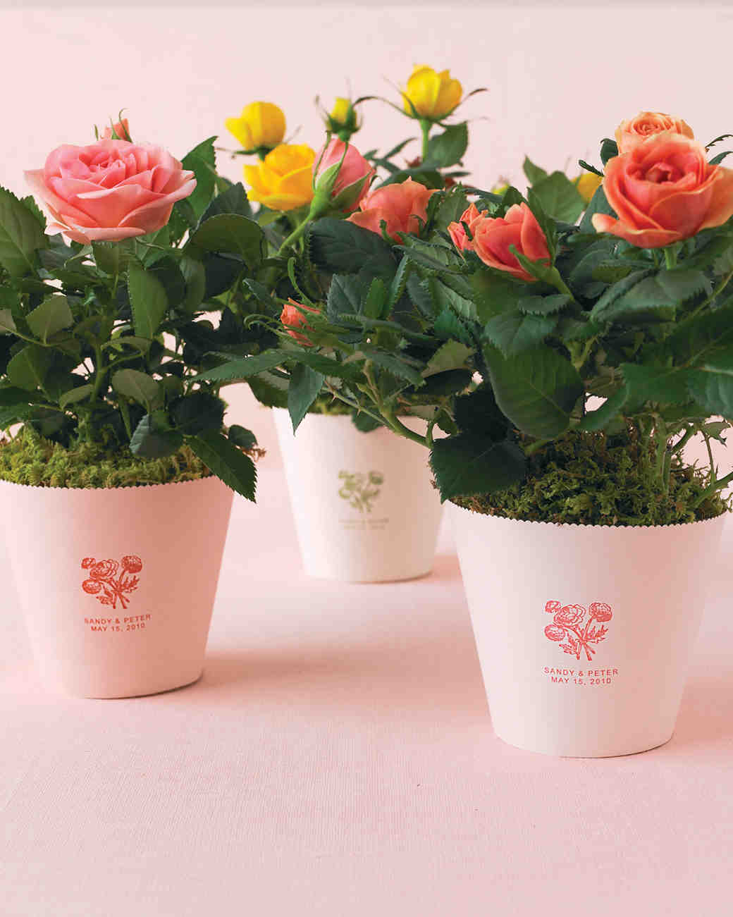 Floral and Plant Favors to DIY for Your Big Day Martha