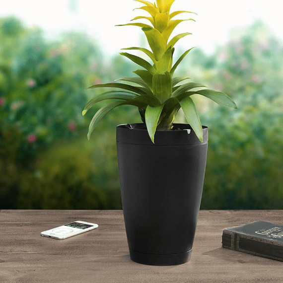 self-watering pot self-watering pot