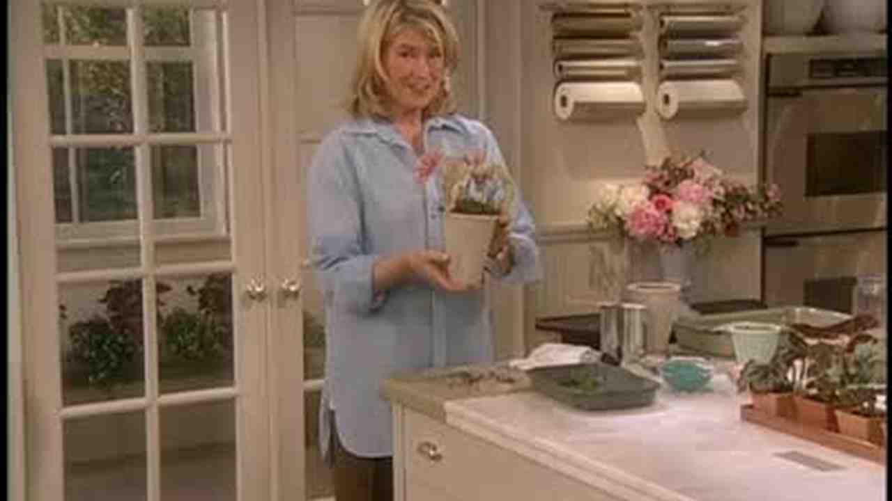 Video How To Create Potted Plant Centerpieces Martha Stewart