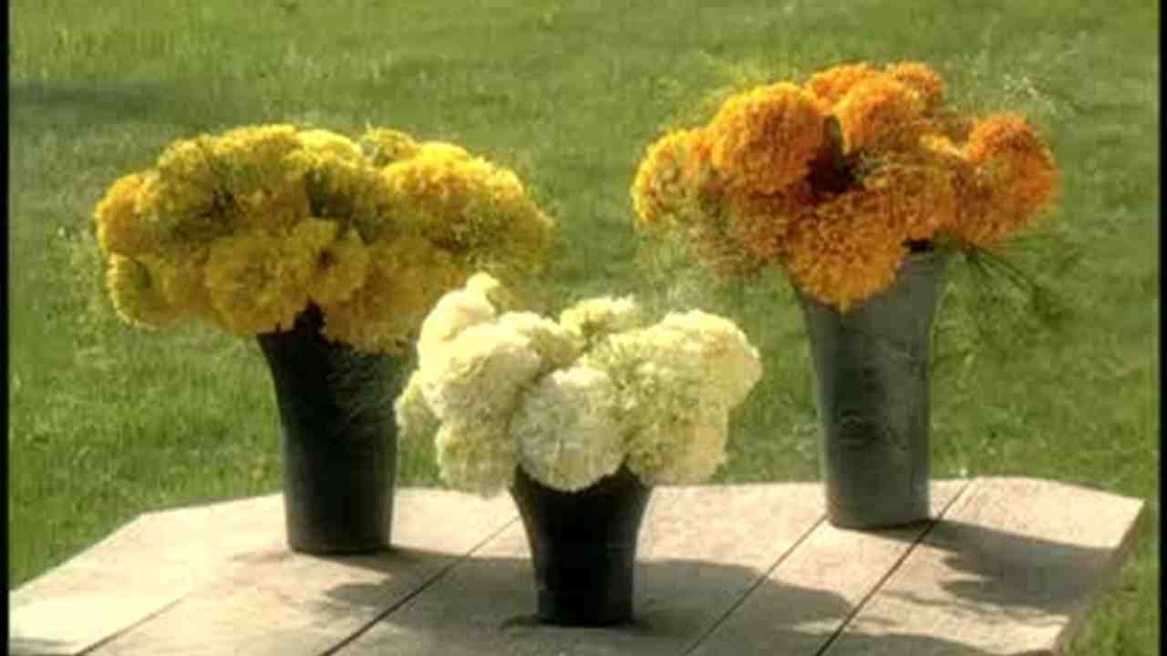 Video Outdoor Flower Arranging Using Marigolds Martha Video Outdoor Flower Arranging Using Marigolds Martha Weddings