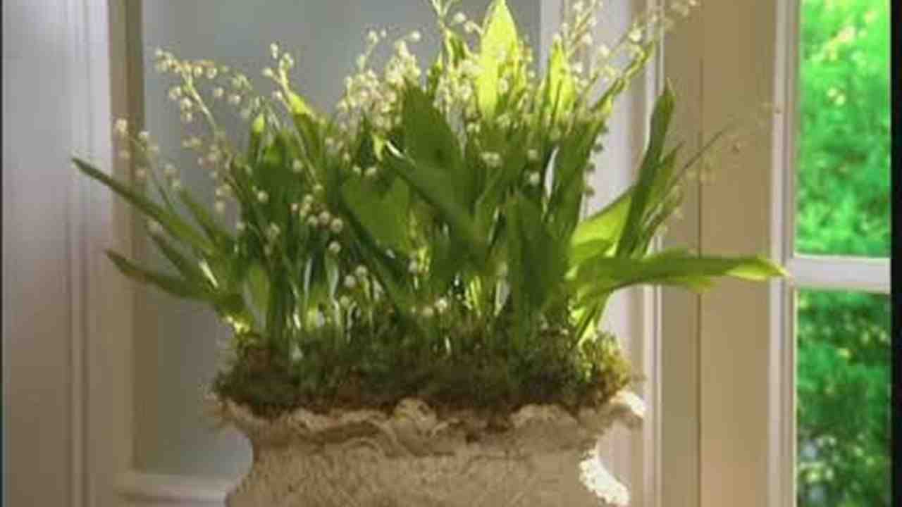 Video How To Make A Lily Of The Valley Arrangement Martha Lily Of The Valley Arrangement