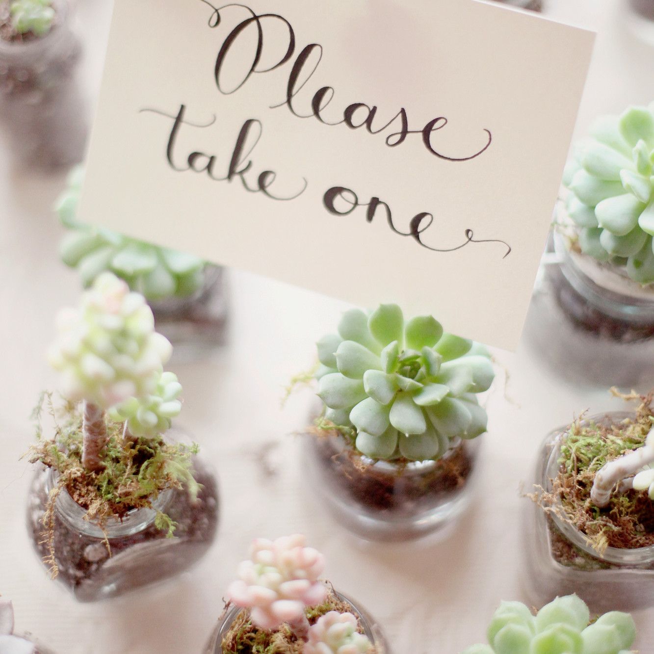 50 Creative Wedding Favors That Will Delight Your Guests Martha