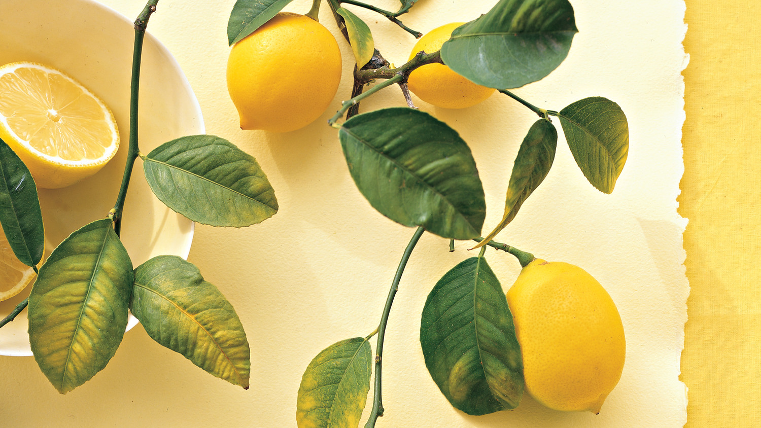 Sparkling Ginger Lemonade Recipe Martha Stewart Weddings