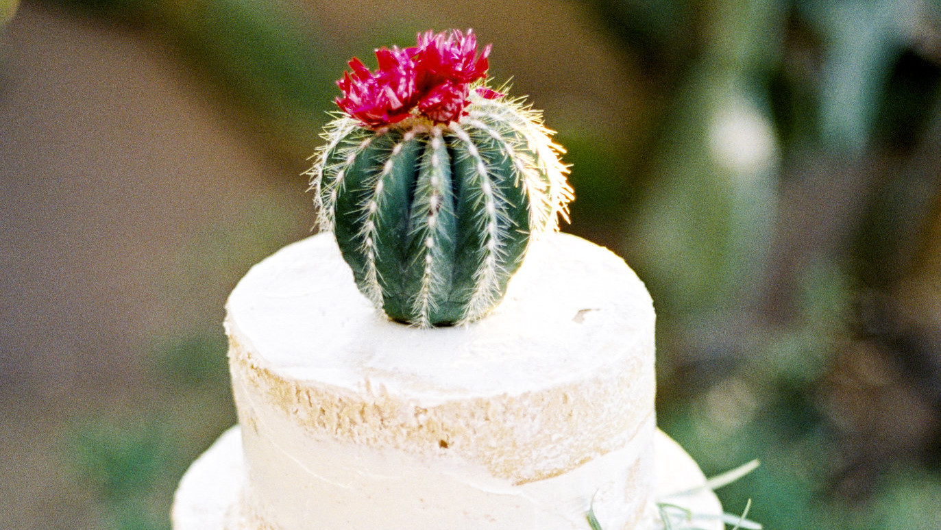 Trending Now: Cactus Wedding Ideas | Martha Stewart Weddings