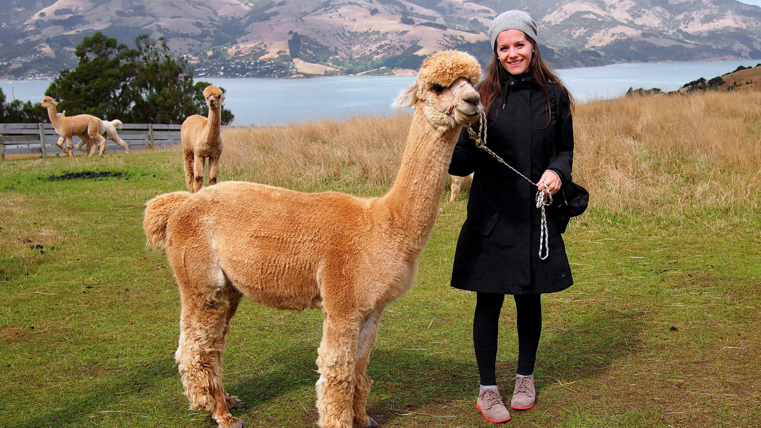 10 Must-Know Travel Tips from Jodi Ettenberg of Legal Nomads