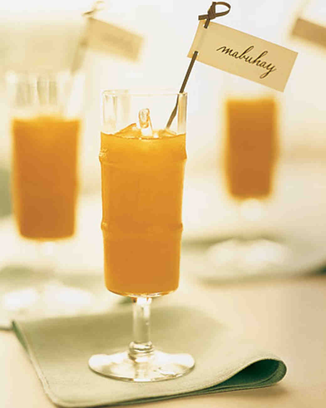 Signature Drinks from Real Weddings Martha Stewart Weddings