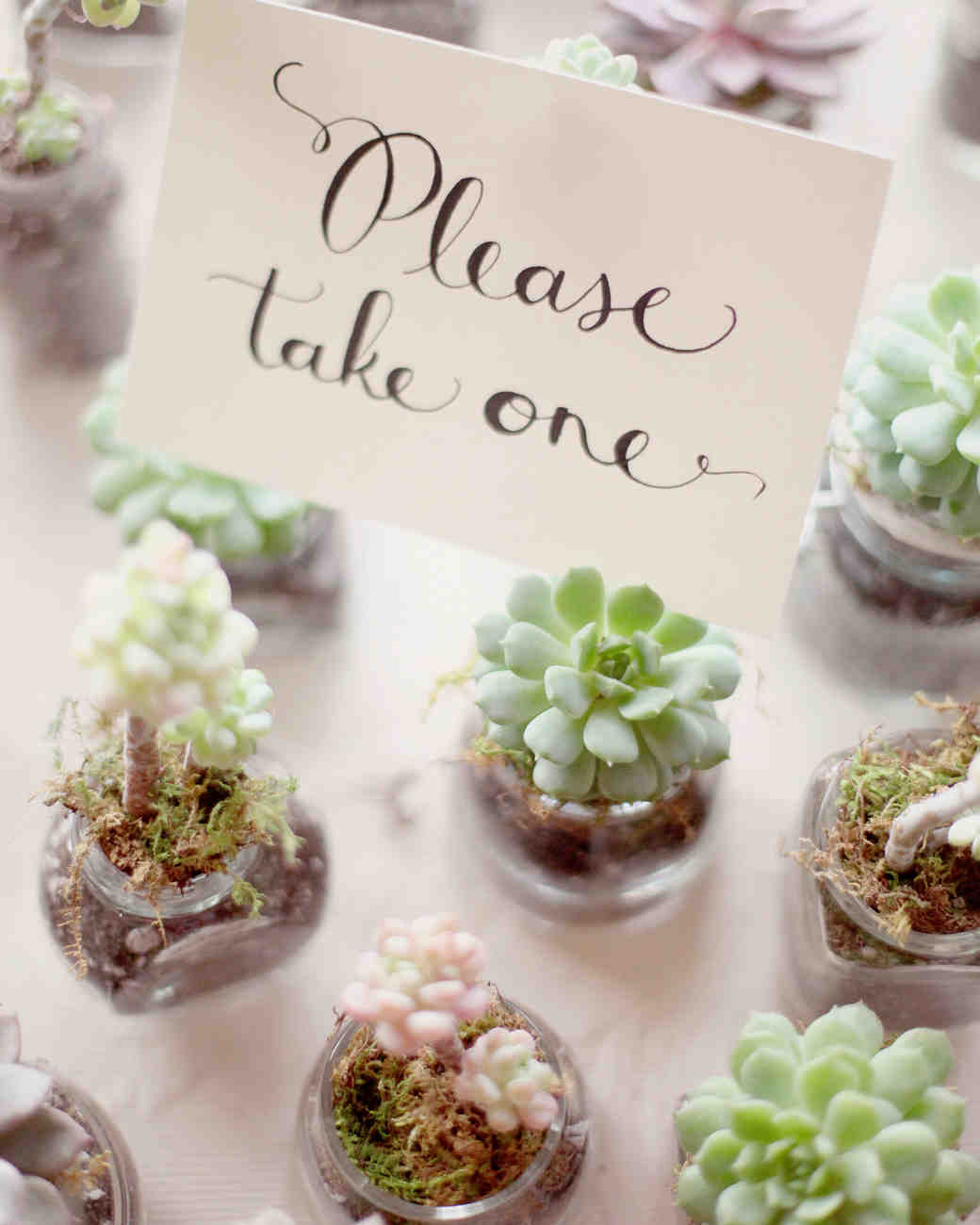 36 Ideas For Using Succulents At Your Wedding Martha Stewart Weddings