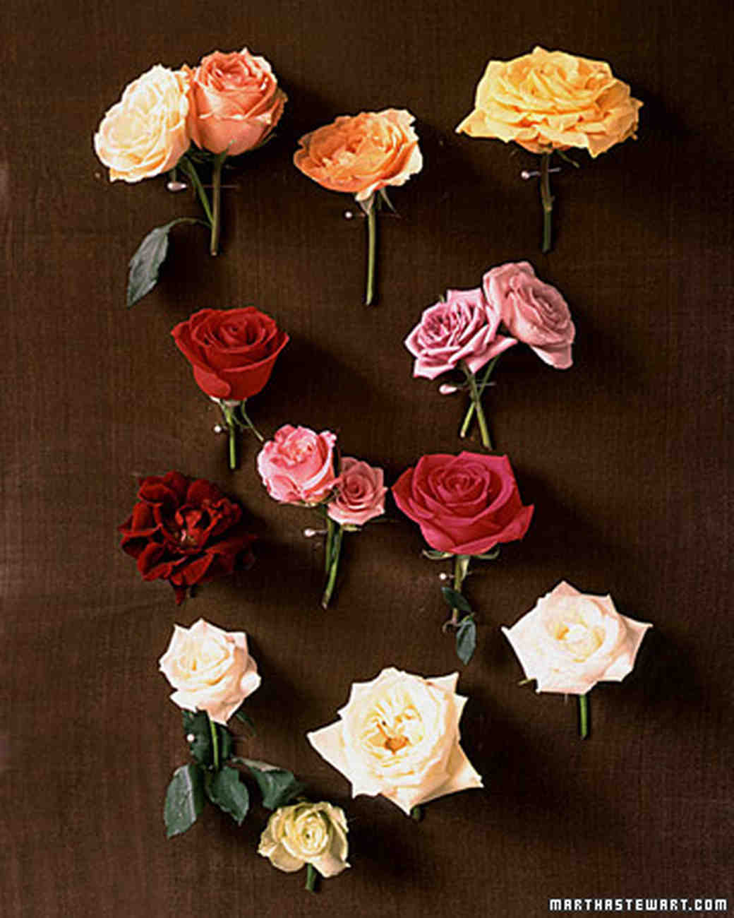 Wedding Roses 101 Martha Weddings