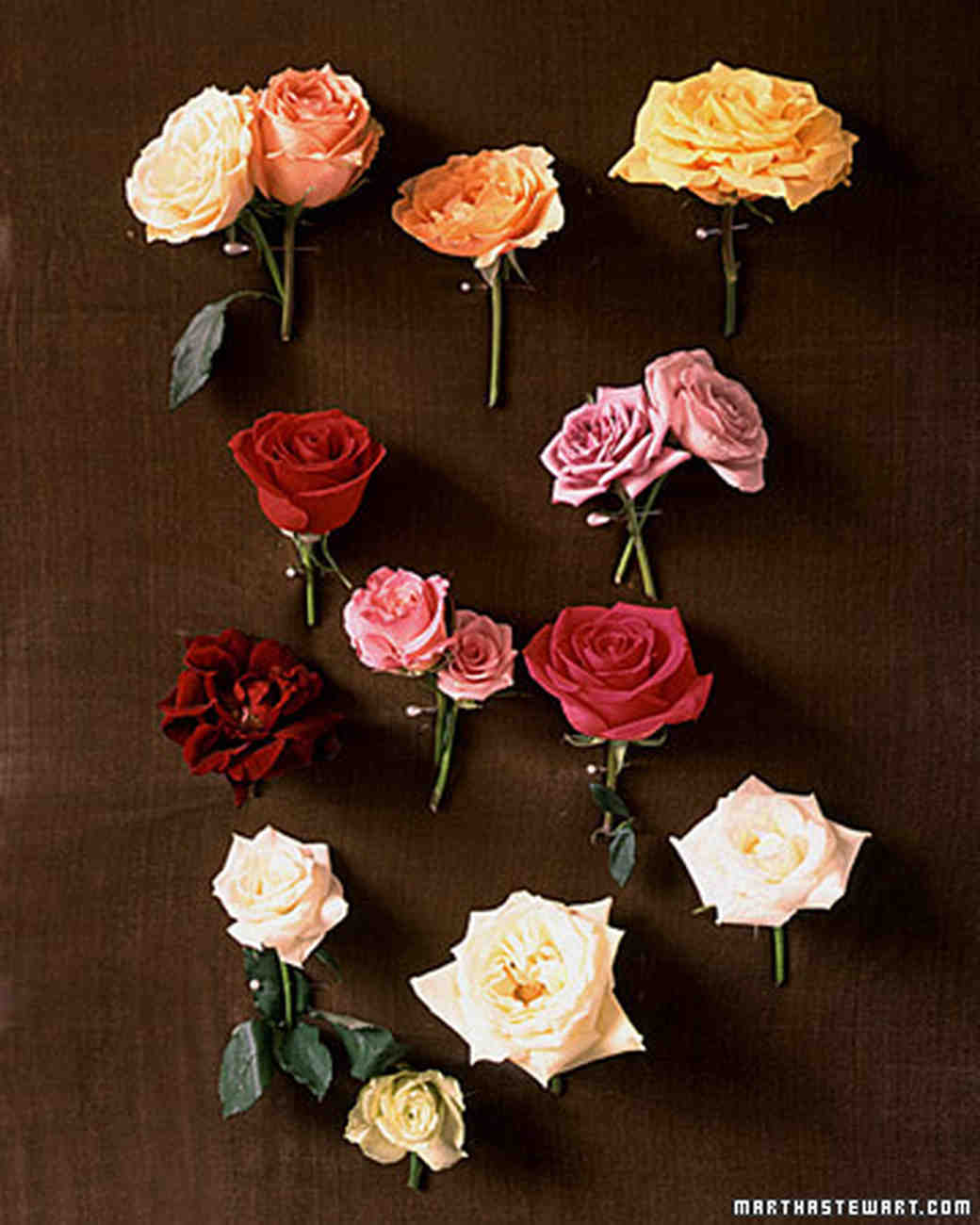 Wedding Roses 101 Martha Stewart Weddings