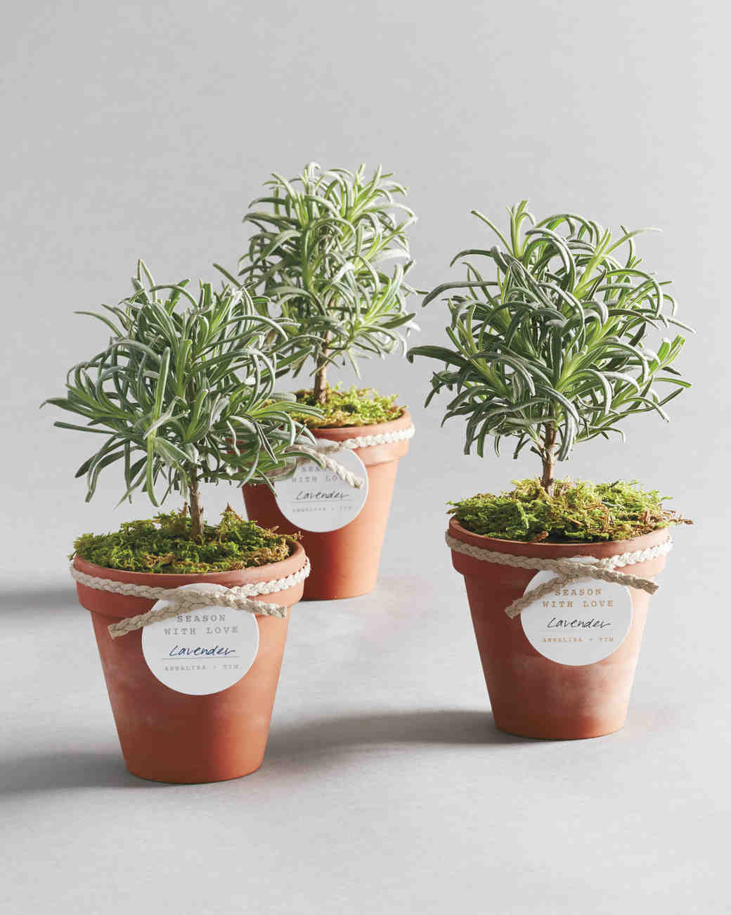 floral and plant favors to diy for your big day martha flower seed paper wedding favors
