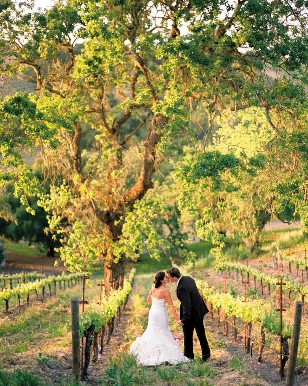 An Outdoor Vintage Rustic Inspired Green Wedding At A Vineyard In The Hy