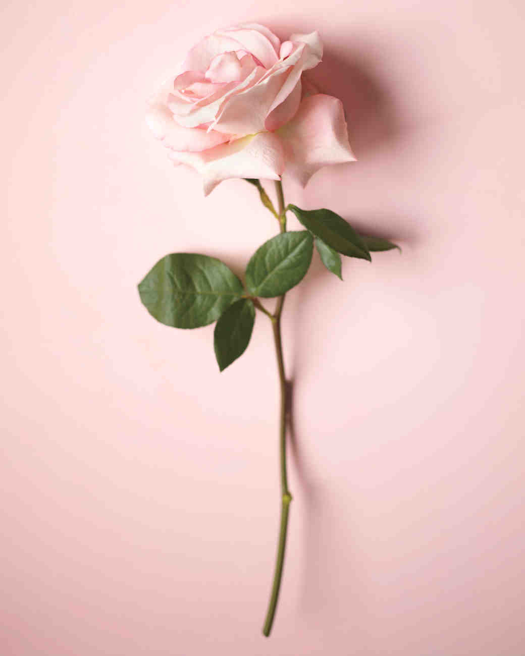 10 Fresh Ways to Add Roses to Your Wedding Martha Stewart Weddings