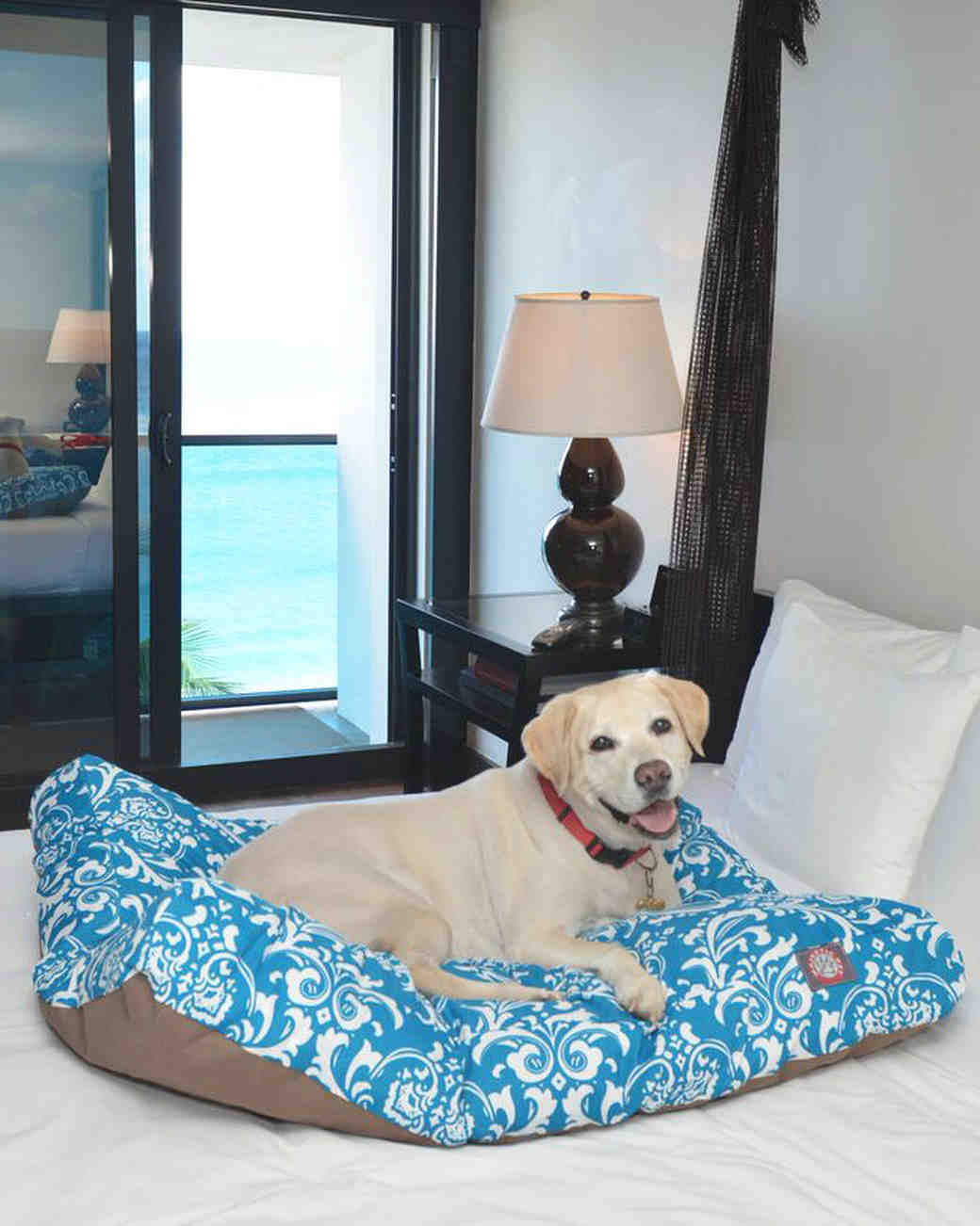 tideline pet friendly hotel 0916_vert