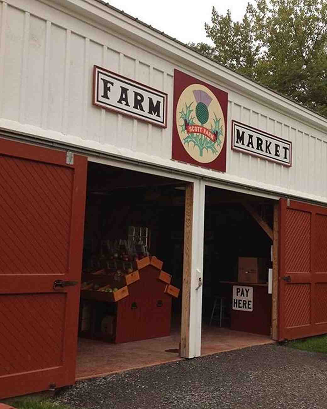 24 Apple Orchards Where You Can Get Married Martha Stewart Weddings