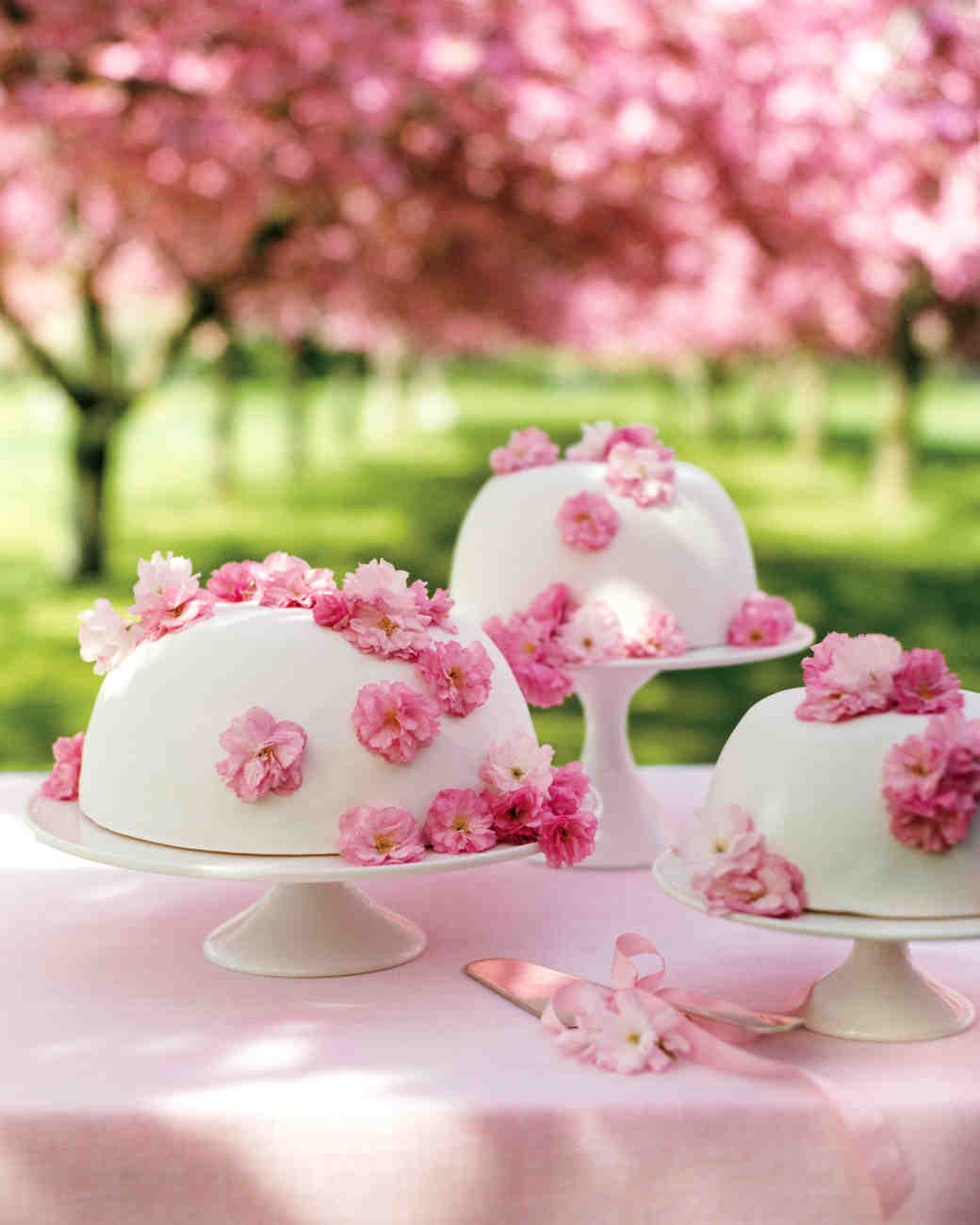 8 pretty cakes to