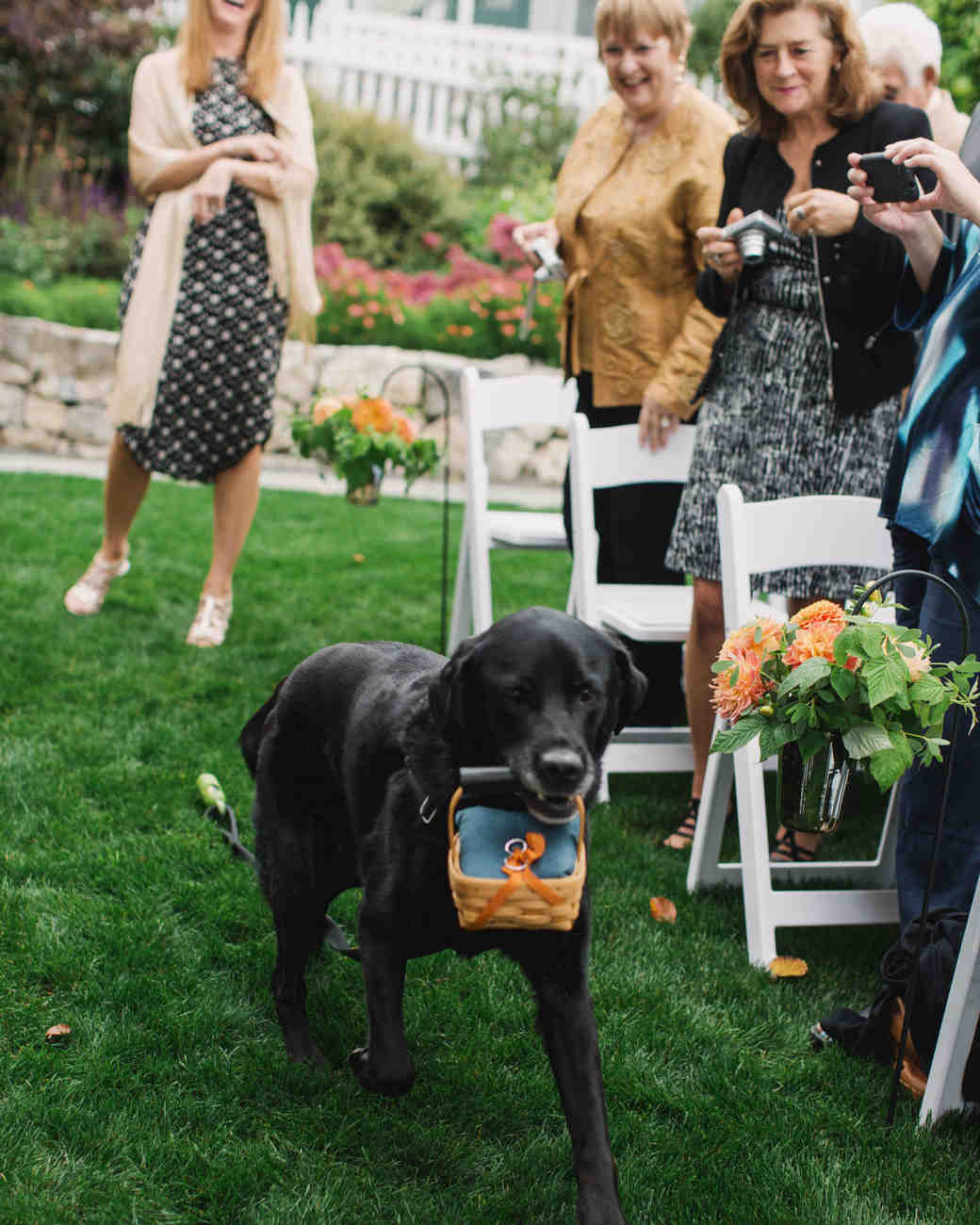 Everything You Need To Know About Having Your Dog In Wedding Cast Your Dog Right