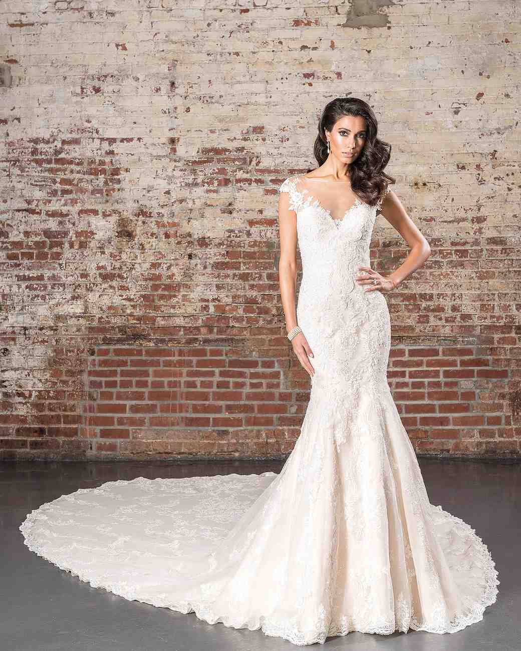 Alex Dress Collection Fashion Dresses