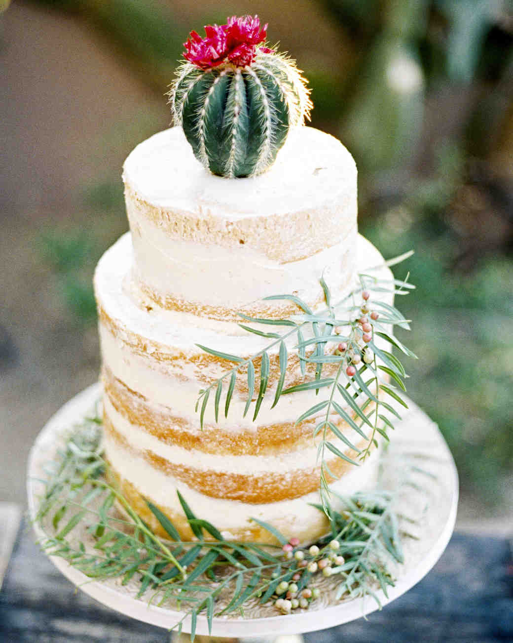 trending now cactus wedding