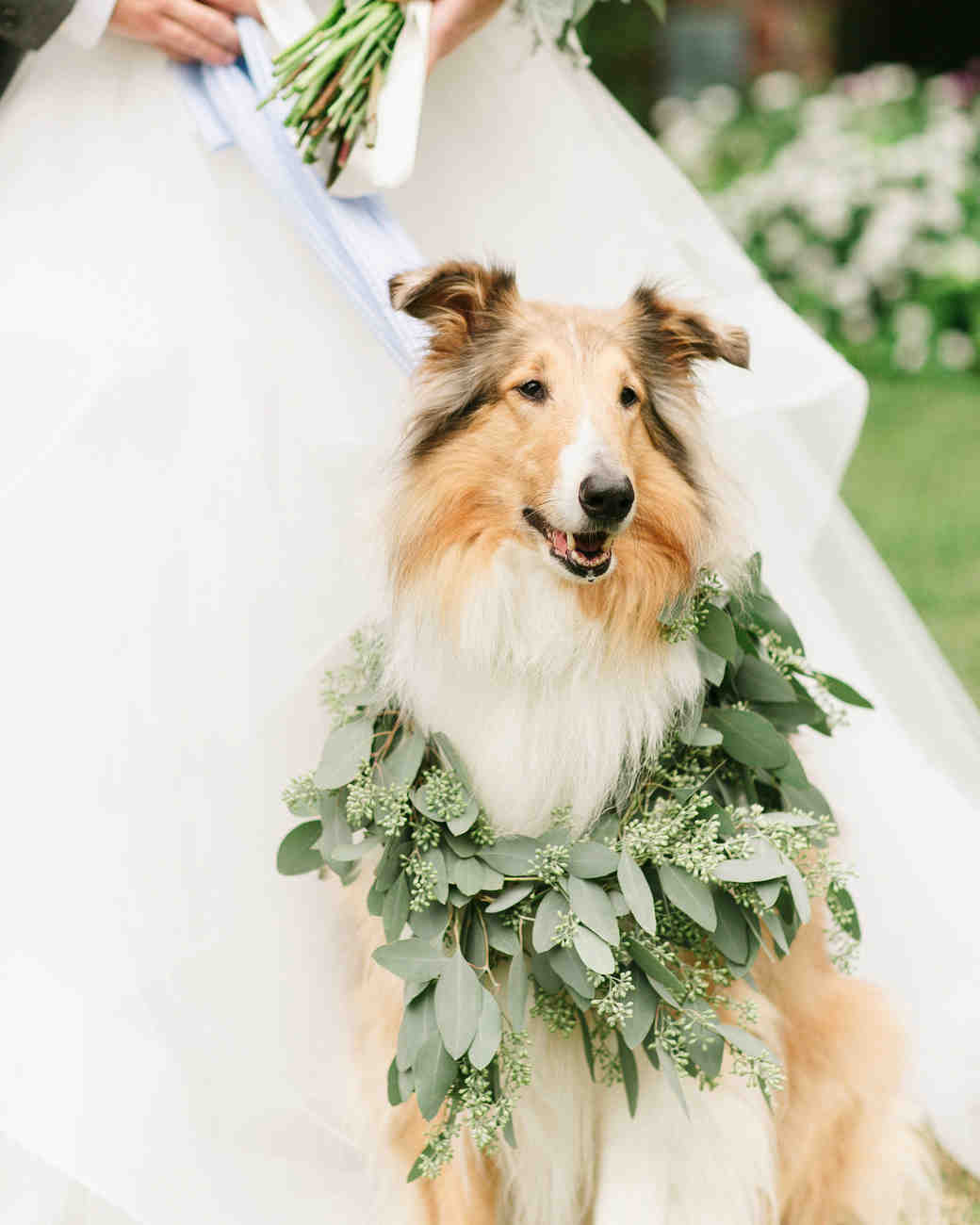 35 Ways To Ensure Your Dog Is The Guest Of Honor At Wedding 35 Ways To Ensure Your Dog Is The Guest Of Honor At Wedding Martha Weddings