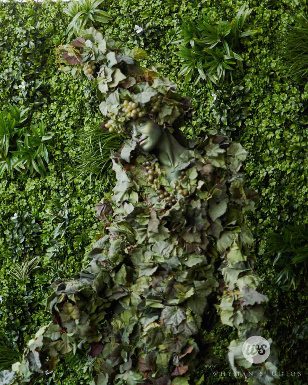 tree performances