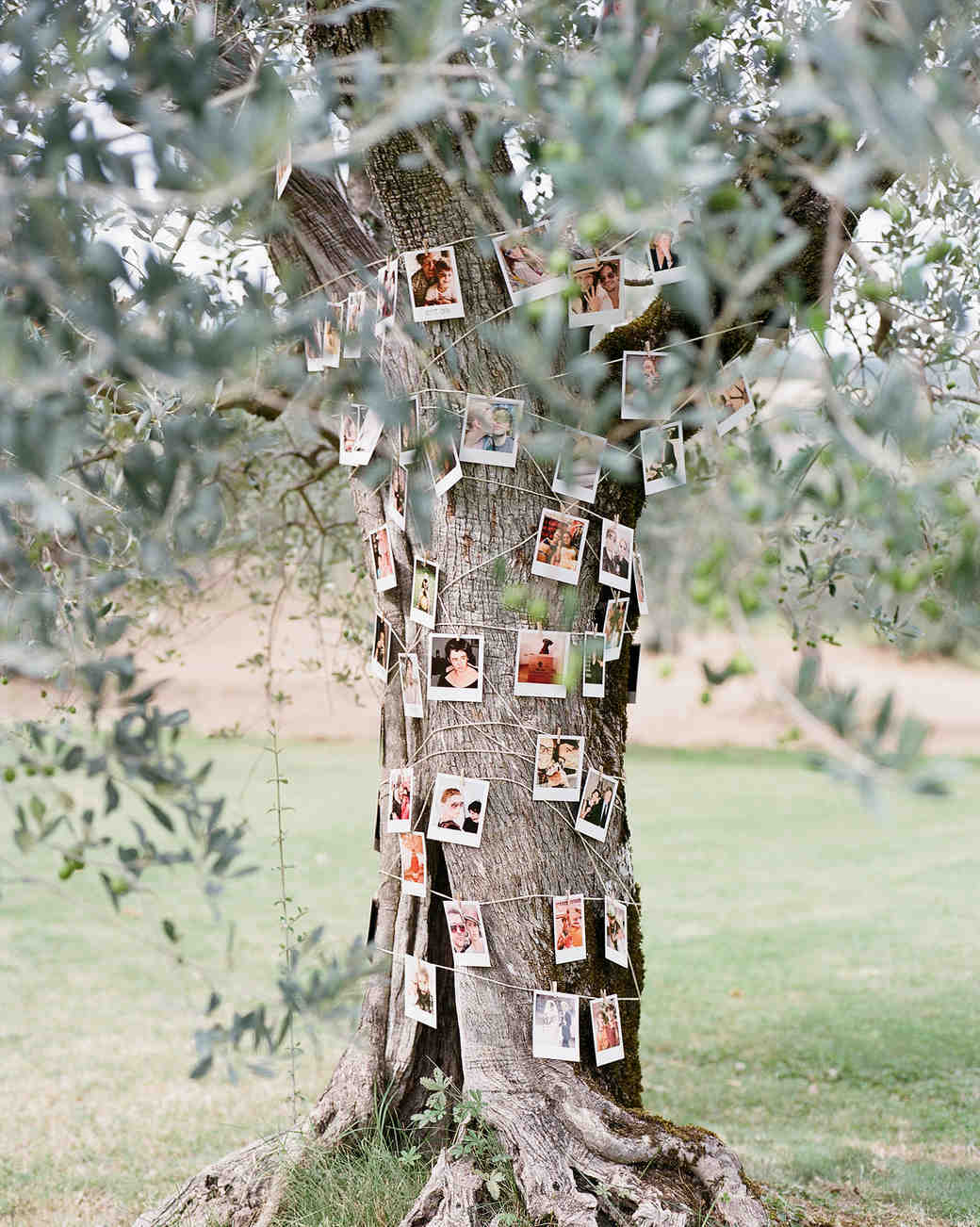 22 Creative Ways to Display Photos at Your Wedding Martha Stewart