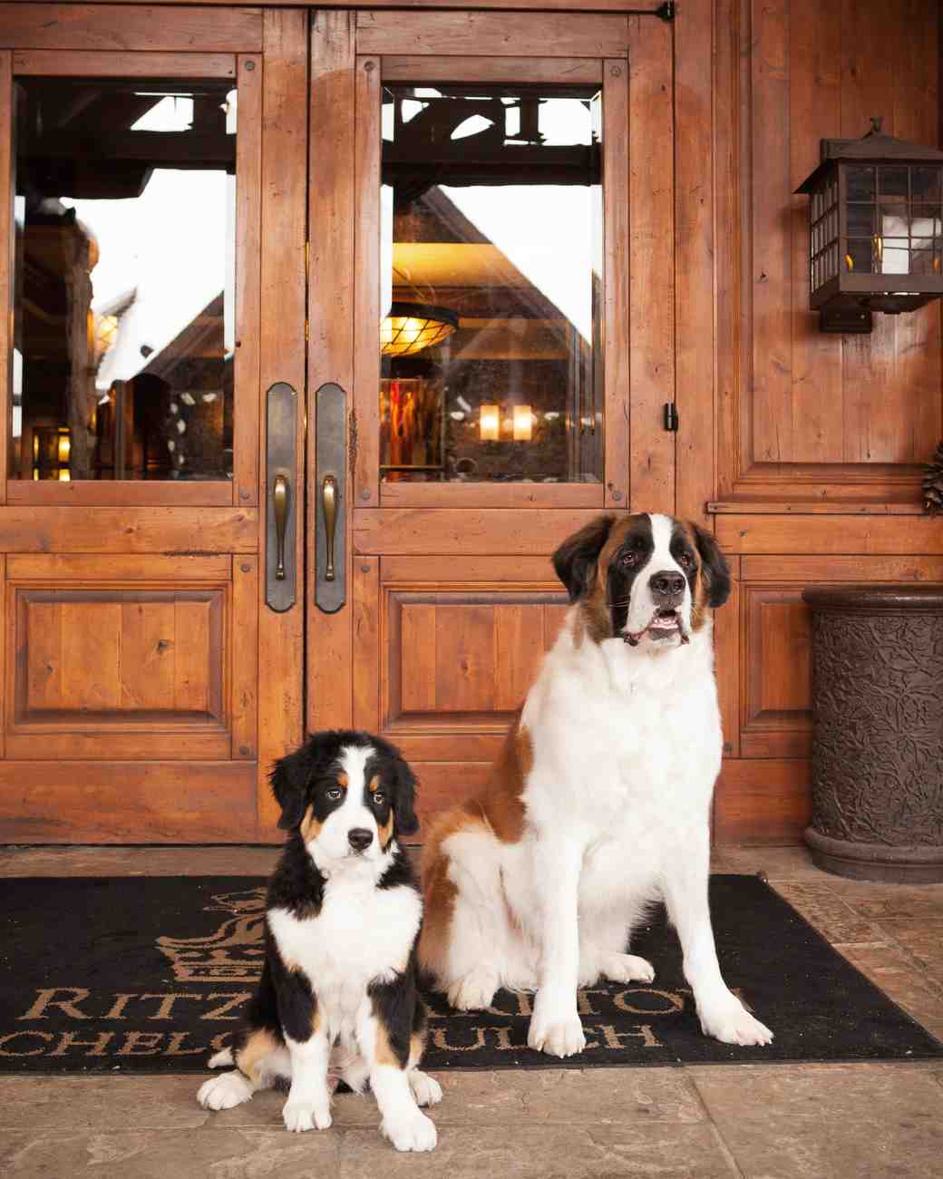Avon Colorado Dog Friendly Hotels Avon Colorado Dog Friendly Hotels