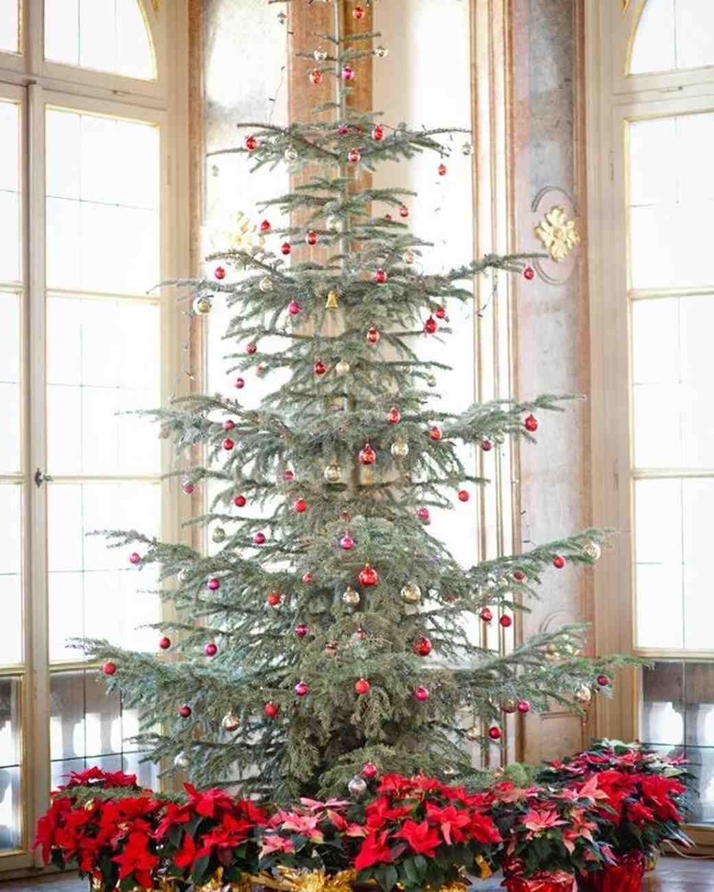 christmas ideas tree