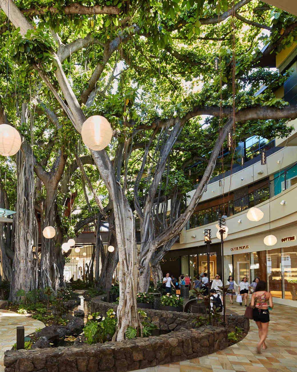 The Best Hawaiian Islands to Visit on Your Honeymoon Martha Stewart