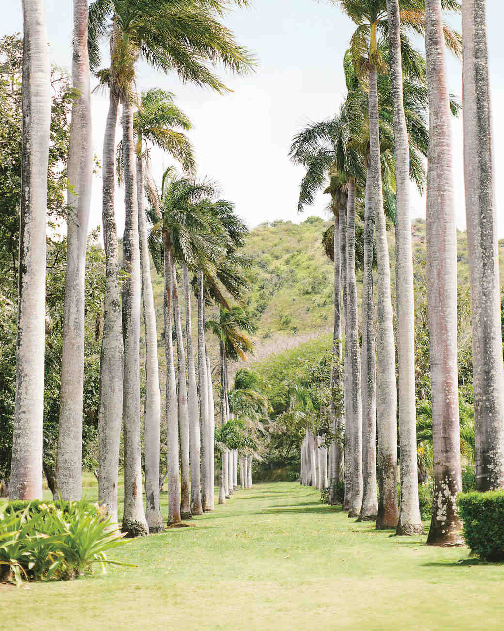 Plan A Private Wedding Weekend At Hawaii S Dillingham Ranch Martha Plan A Private Wedding Weekend At Hawaii S Dillingham Ranch Martha Weddings