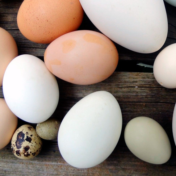 naked-eggs.jpg