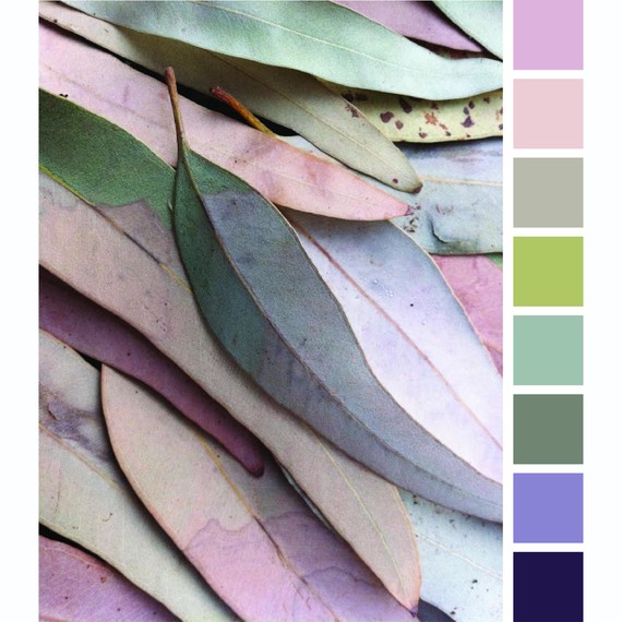 leaves-color-palette-0615