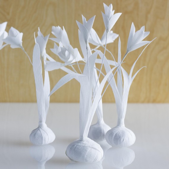 crepe-paper-bulbs-0515