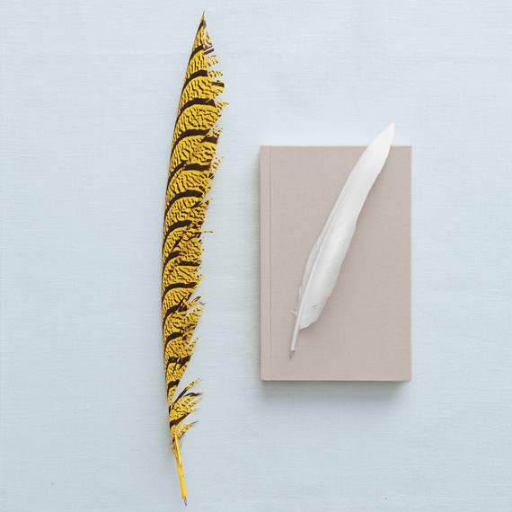 feather-pens-018-d112122.jpg