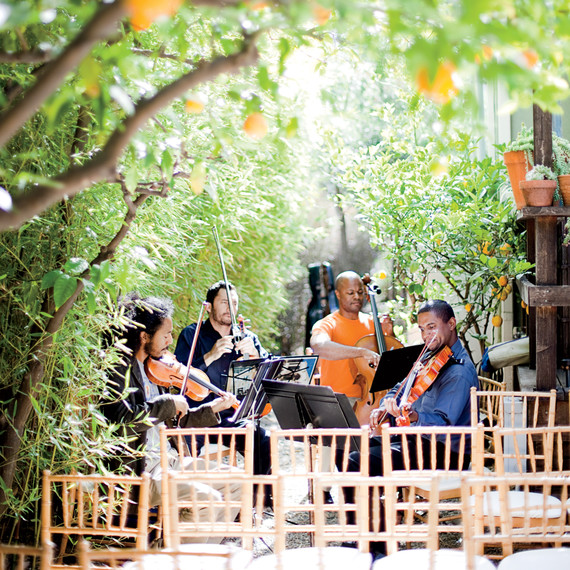 string quartet in courtyard string quartet in courtyard