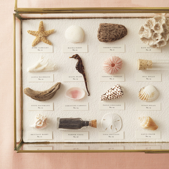 seashell-opener-605-d111930.jpg