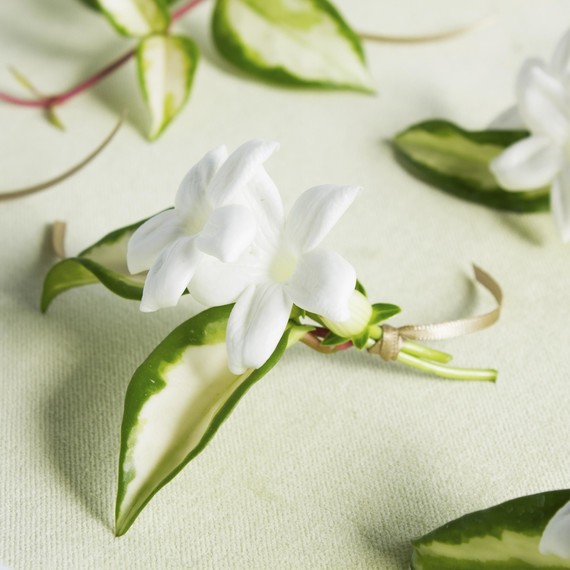 Place boutonnieres in tray