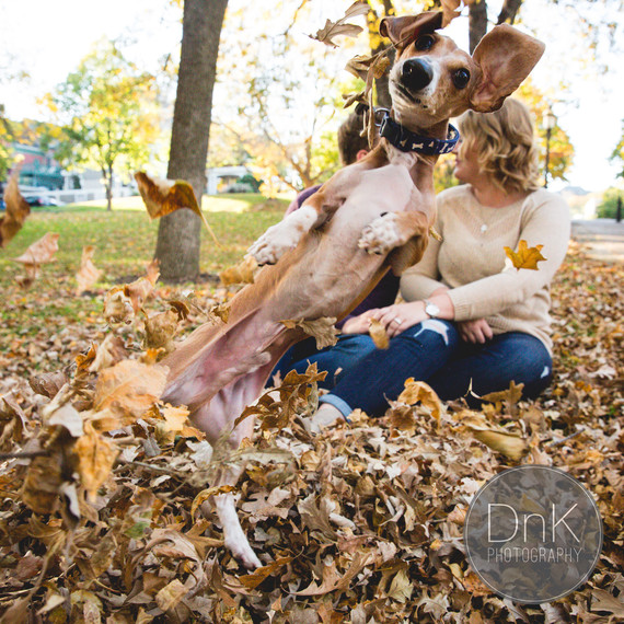 dog-engagement-photobomb-1015.jpg