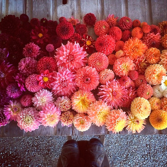 instagram-florists-floret-0814.jpg