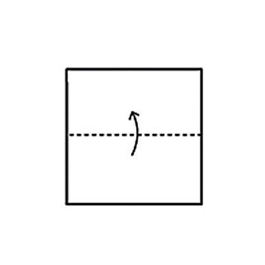 napkin-fold-buffet-step-1-1214.jpg