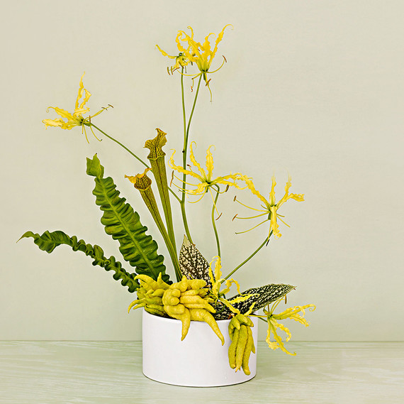 ikebana centerpiece with cobra lilies ikebana centerpiece with cobra lilies
