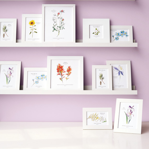 picture-frames-272-d111375-comp.jpg