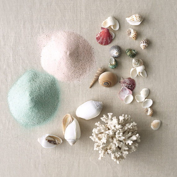 seashells-and-sand-106-mwd110955.jpg