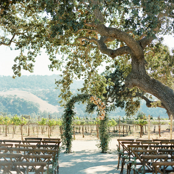 giant oak tree outdoor wedding ceremony vineyard venue giant oak tree outdoor wedding ceremony vineyard venue
