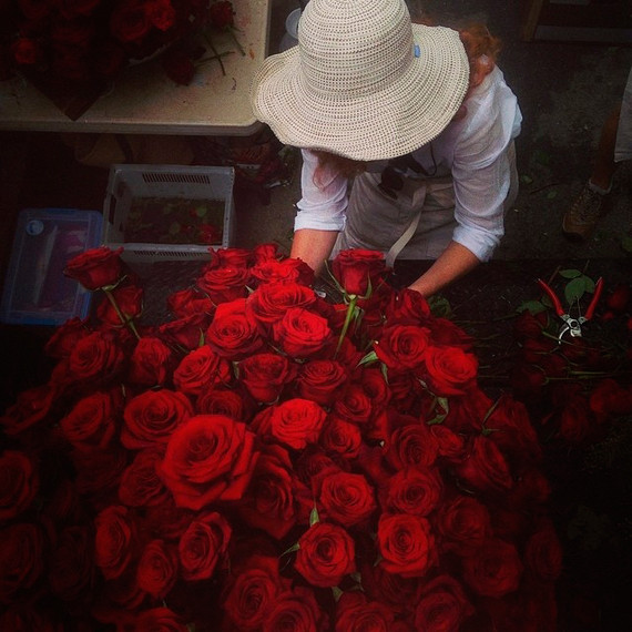 instagram-florists-flowerwild-0814.jpg