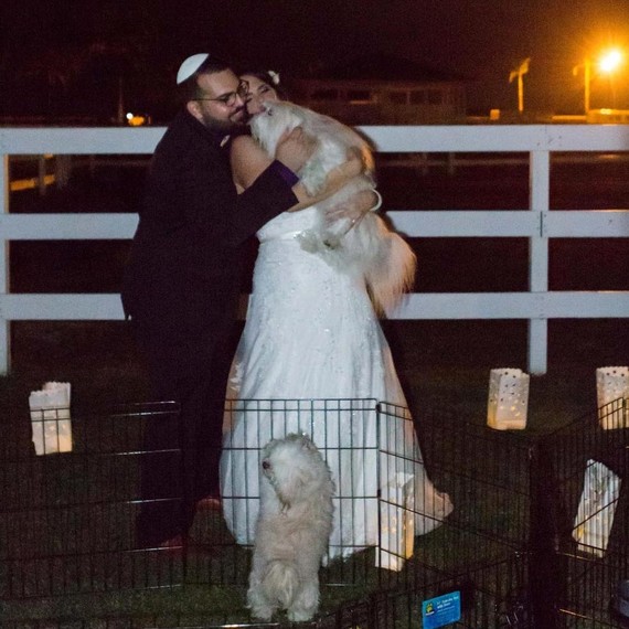 puppy-snuggles-bride-and-groom-0216.jpg