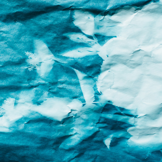 foret-howto-cyanotype-30-s112408-0815.jpg