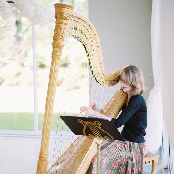 niara allen wedding harpist niara allen wedding harpist