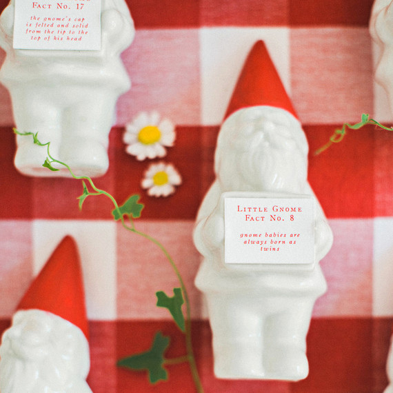carey eric rehearsal dinner gnome facts carey eric rehearsal dinner gnome facts